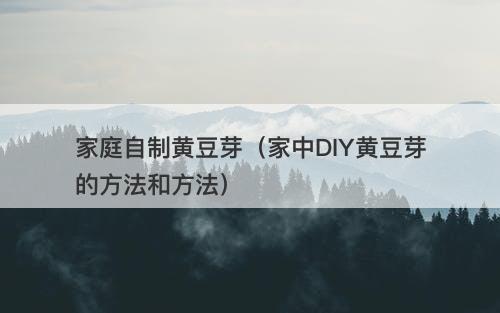 家庭自制黄豆芽（家中DIY黄豆芽的方法和方法）