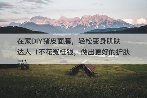 在家DIY猪皮面膜，轻松变身肌肤达人（不花冤枉钱，做出更好的护肤品）