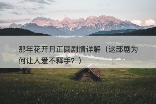 那年花开月正圆剧情详解（这部剧为何让人爱不释手？）