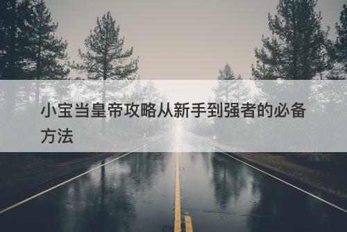 小宝当皇帝攻略从新手到强者的必备方法