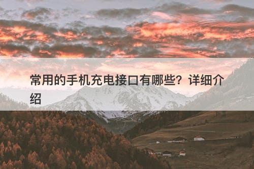 常用的手机充电接口有哪些？详细介绍