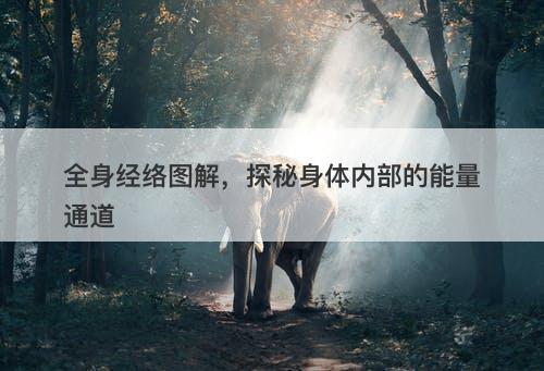 全身经络图解，探秘身体内部的能量通道