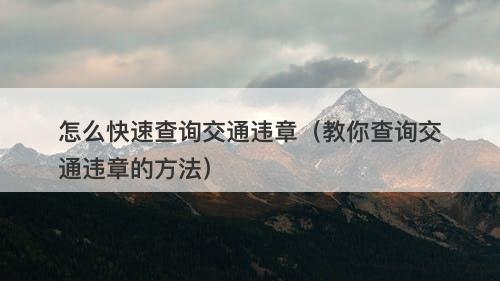 怎么快速查询交通违章（教你查询交通违章的方法）