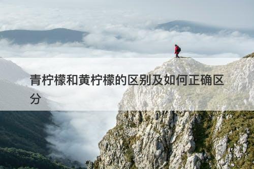 青柠檬和黄柠檬的区别及如何正确区分