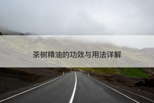 茶树精油的功效与用法详解