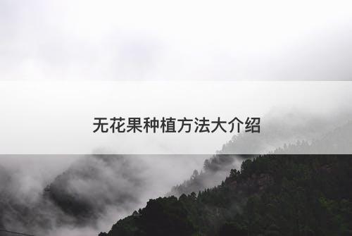 无花果种植方法大介绍