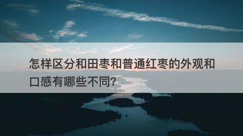 怎样区分和田枣和普通红枣的外观和口感有哪些不同？