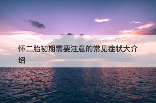 怀二胎初期需要注意的常见症状大介绍
