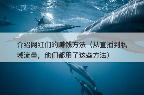 介绍网红们的赚钱方法（从直播到私域流量，他们都用了这些方法）