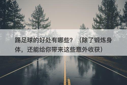 踢足球的好处有哪些？（除了锻炼身体，还能给你带来这些意外收获）