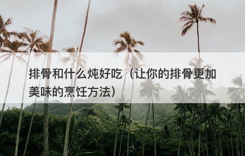 排骨和什么炖好吃（让你的排骨更加美味的烹饪方法）