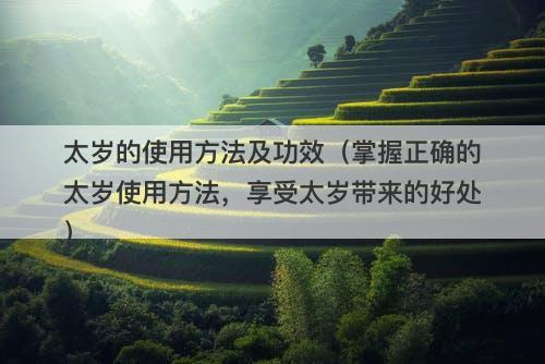太岁的使用方法及功效（掌握正确的太岁使用方法，享受太岁带来的好处）