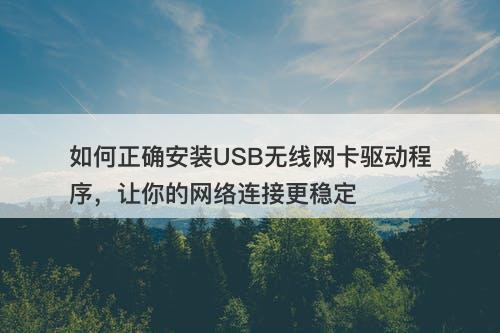 如何正确安装USB无线网卡驱动程序，让你的网络连接更稳定