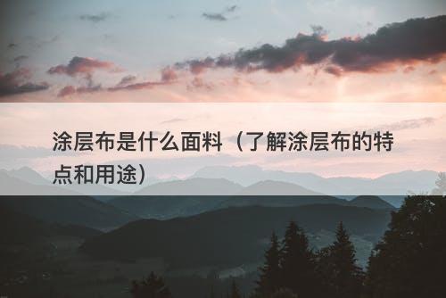 涂层布是什么面料（了解涂层布的特点和用途）