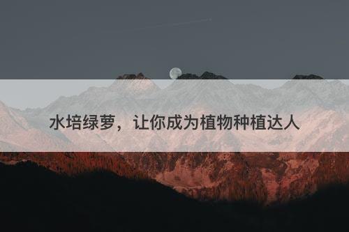 水培绿萝，让你成为植物种植达人