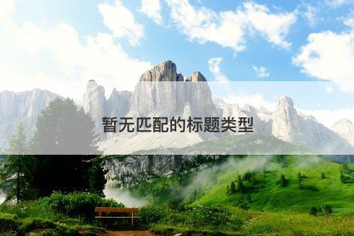 暂无匹配的标题类型