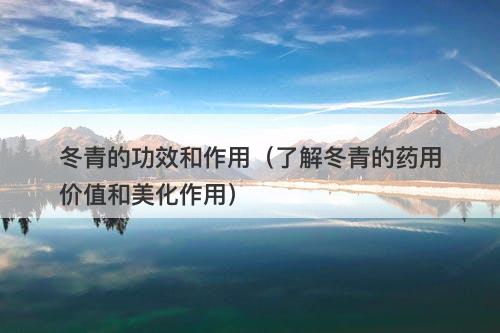 冬青的功效和作用（了解冬青的药用价值和美化作用）