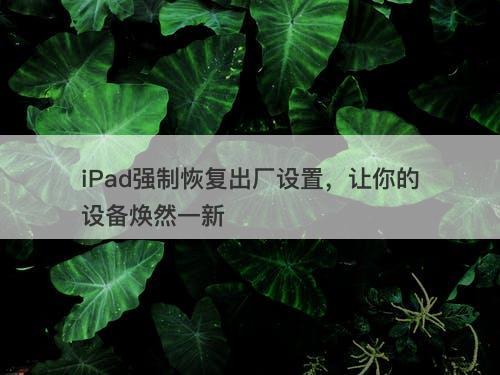 iPad强制恢复出厂设置，让你的设备焕然一新