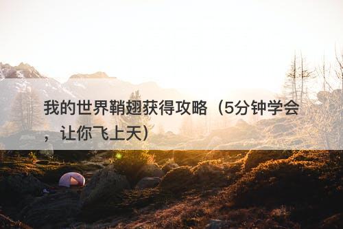 我的世界鞘翅获得攻略（5分钟学会，让你飞上天）