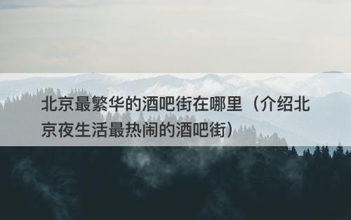 北京最繁华的酒吧街在哪里（介绍北京夜生活最热闹的酒吧街）