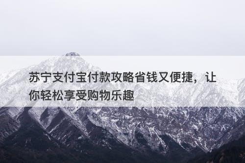 苏宁支付宝付款攻略省钱又便捷，让你轻松享受购物乐趣