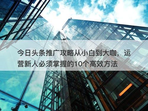 今日头条推广攻略从小白到大咖，运营新人必须掌握的10个高效方法