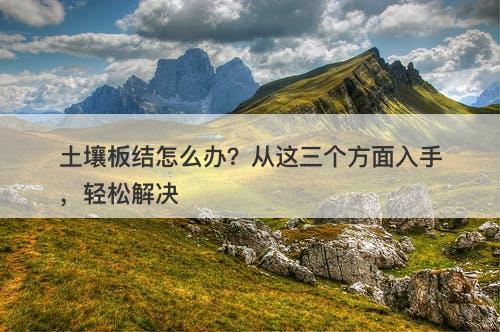 土壤板结怎么办？从这三个方面入手，轻松解决