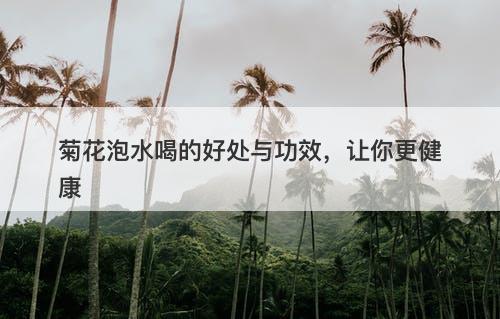 菊花泡水喝的好处与功效，让你更健康