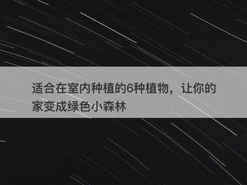 适合在室内种植的6种植物，让你的家变成绿色小森林