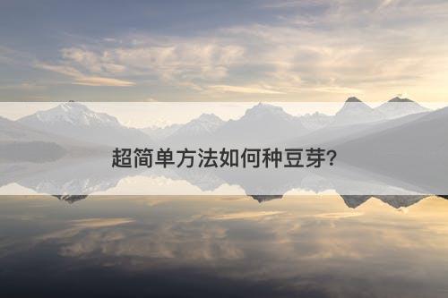 超简单方法如何种豆芽？