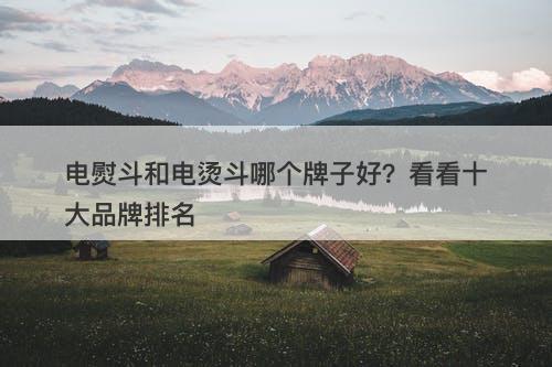 电熨斗和电烫斗哪个牌子好？看看十大品牌排名