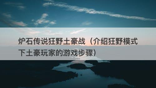 炉石传说狂野土豪战(介绍狂野模式下土豪玩家的游戏步骤)