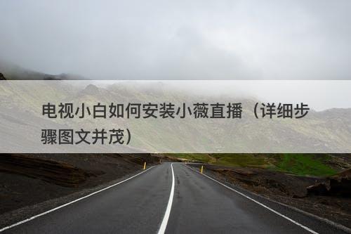 电视小白如何安装小薇直播（详细步骤图文并茂）