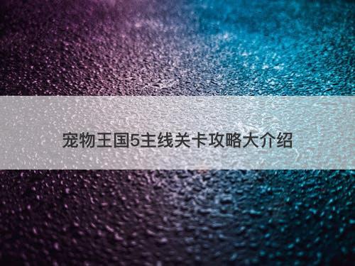 宠物王国5主线关卡攻略大介绍