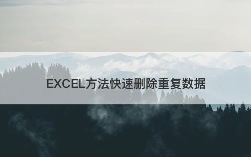 EXCEL方法快速删除重复数据