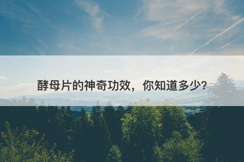 酵母片的神奇功效，你知道多少？