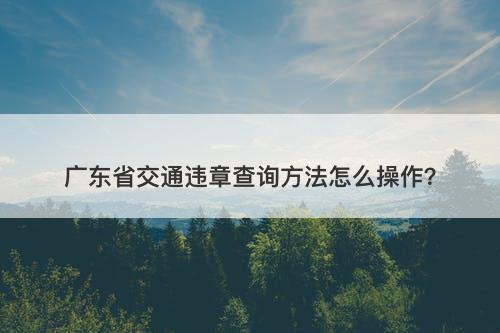 广东省交通违章查询方法怎么操作？