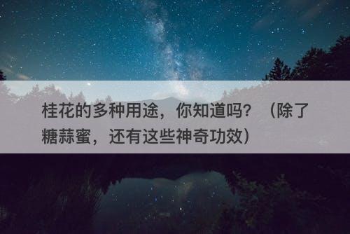 桂花的多种用途，你知道吗？（除了糖蒜蜜，还有这些神奇功效）