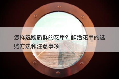 怎样选购新鲜的花甲?鲜活花甲的选购方法和注意事项