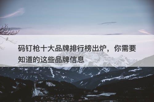 码钉枪十大品牌排行榜出炉，你需要知道的这些品牌信息