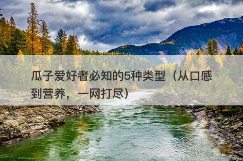 瓜子爱好者必知的5种类型（从口感到营养，一网打尽）