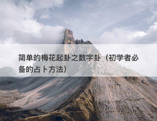 简单的梅花起卦之数字卦(初学者必备的占卜方法)