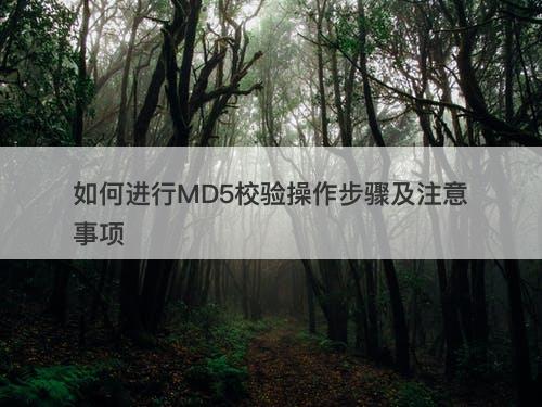 如何进行MD5校验操作步骤及注意事项