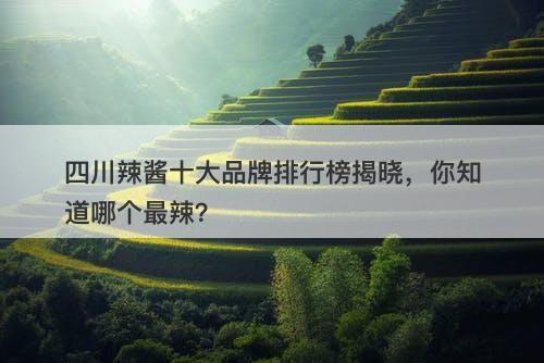四川辣酱十大品牌排行榜揭晓，你知道哪个最辣？