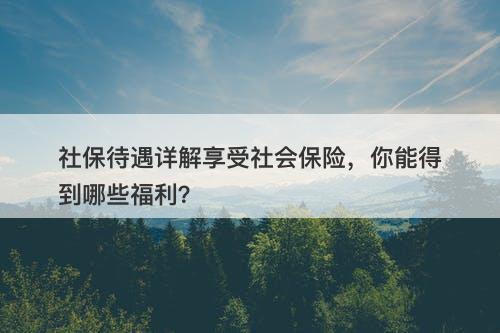 社保待遇详解享受社会保险，你能得到哪些福利？-图1