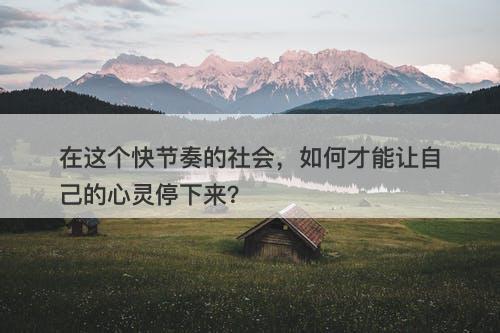 在这个快节奏的社会，如何才能让自己的心灵停下来？