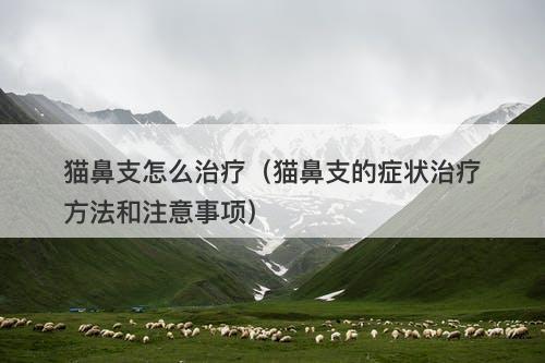 猫鼻支怎么治疗（猫鼻支的症状治疗方法和注意事项）