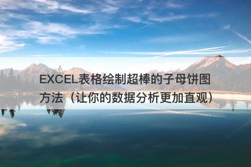 EXCEL表格绘制超棒的子母饼图方法(让你的数据分析更加直观)