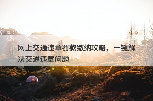 网上交通违章罚款缴纳攻略，一键解决交通违章问题