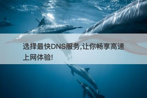 选择最快DNS服务,让你畅享高速上网体验!